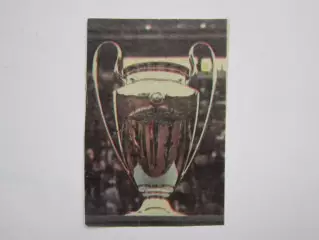 Вырезка. Футбол. Фото 142.