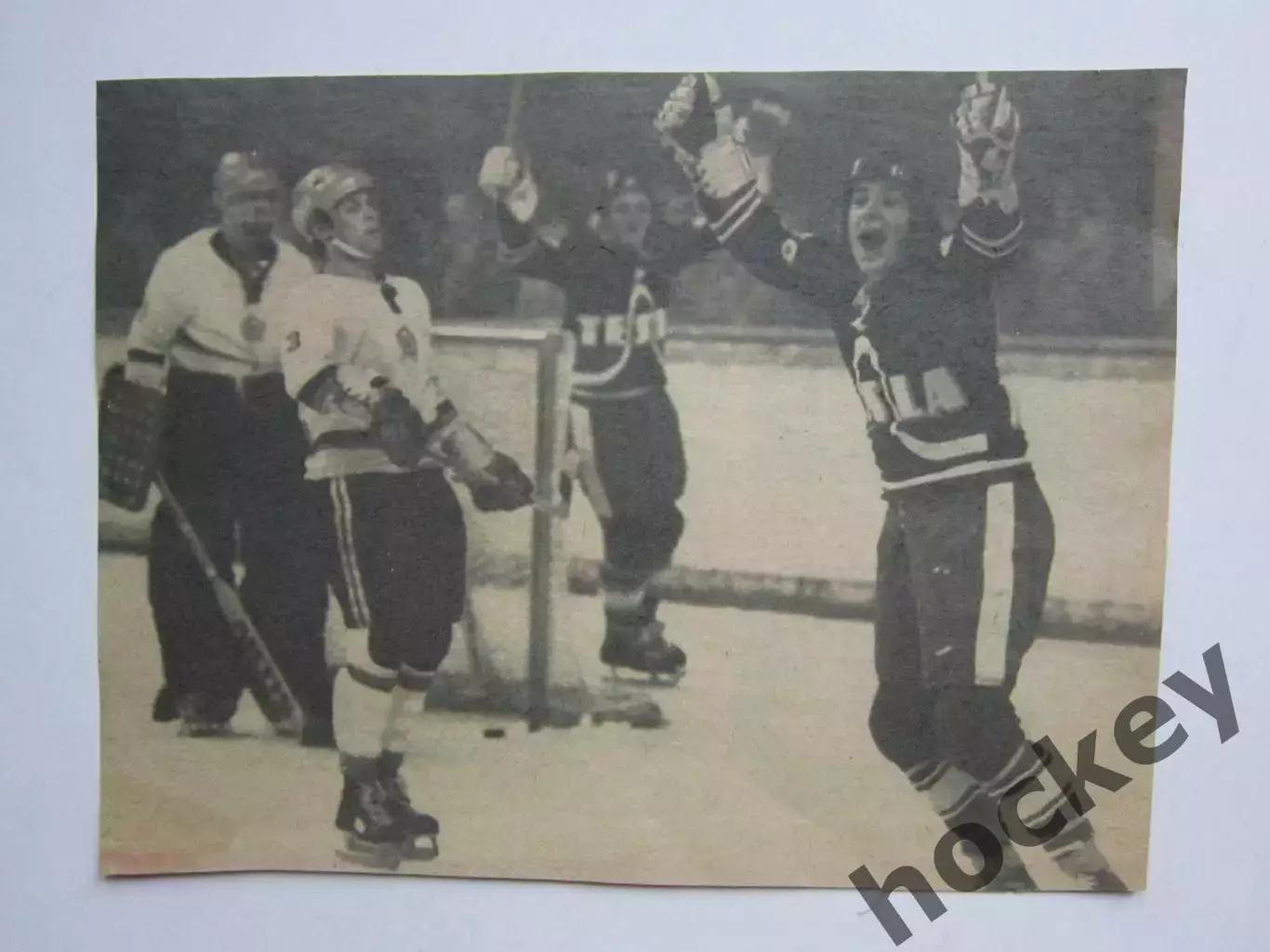 Вырезка. Хоккей. Фото 8