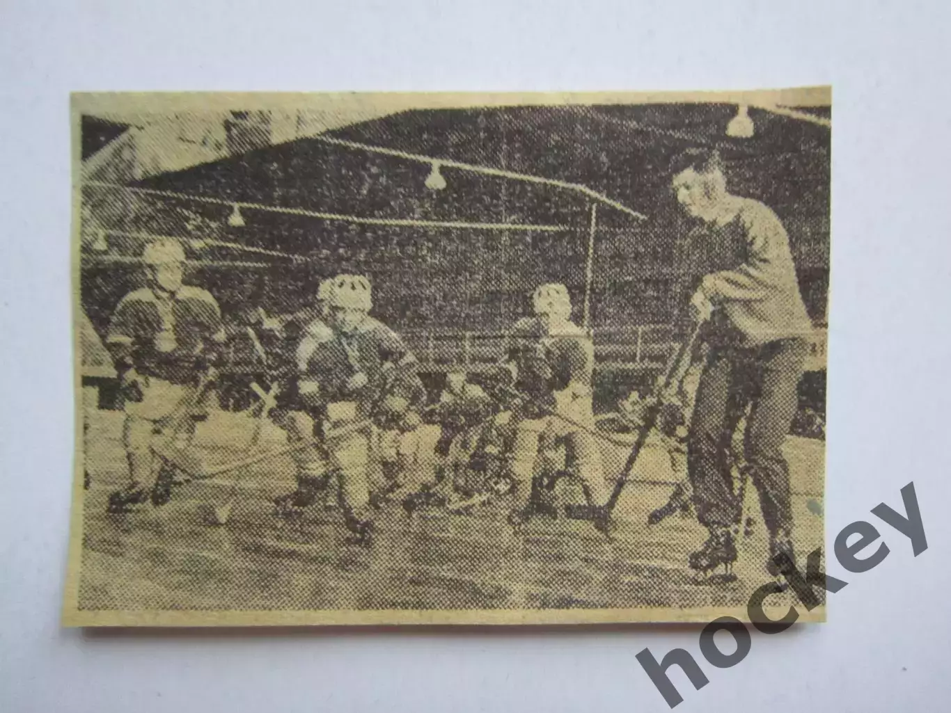 Вырезка. Хоккей. Фото 10