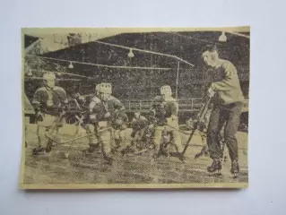 Вырезка. Хоккей. Фото 10