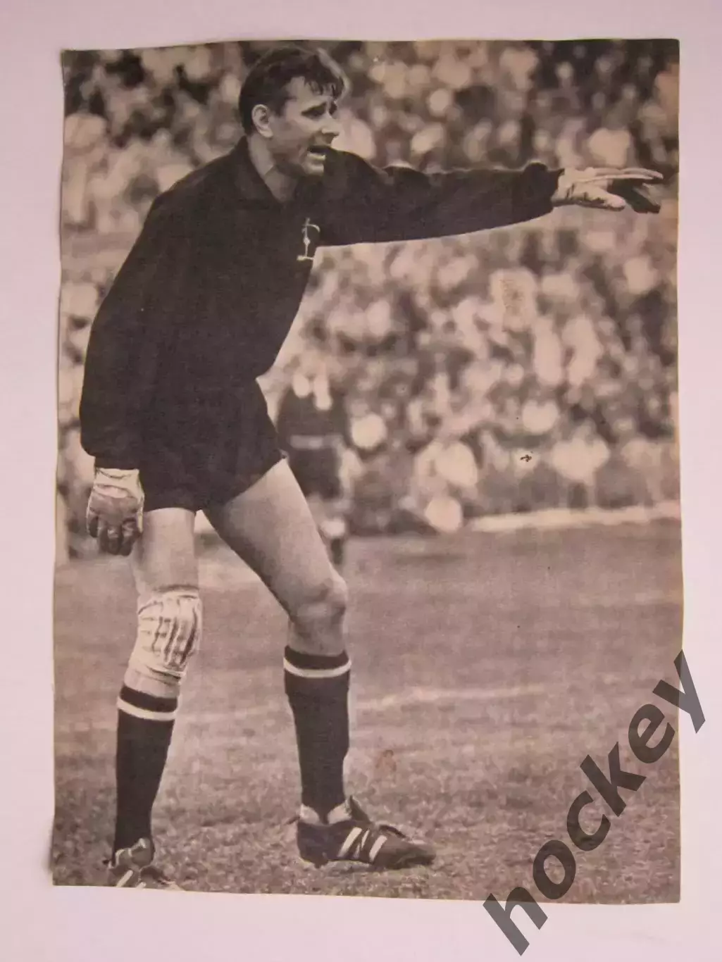 Вырезка. Футбол. Фото 183. Лев Яшин