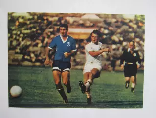 Вырезка. Футбол. Фото 187.