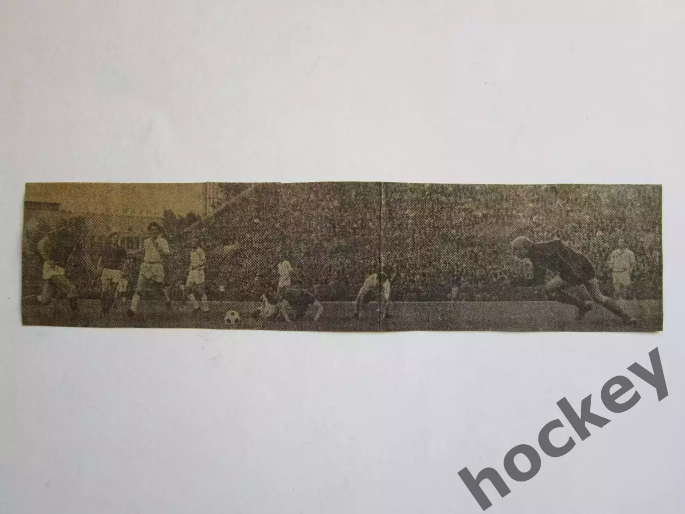 Вырезка. Футбол. Фото 191.