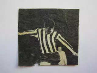 Вырезка. Футбол. Фото 193.