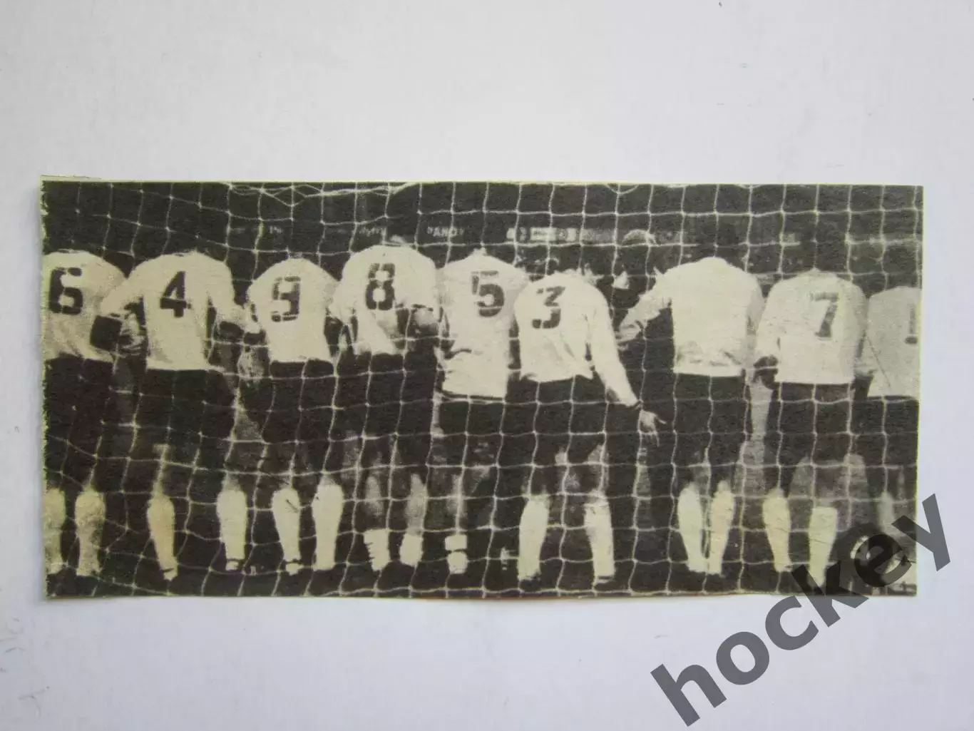 Вырезка. Футбол. Фото 195.