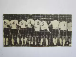 Вырезка. Футбол. Фото 195.