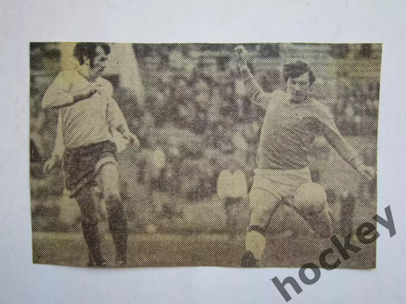 Вырезка. Футбол. Фото 196.