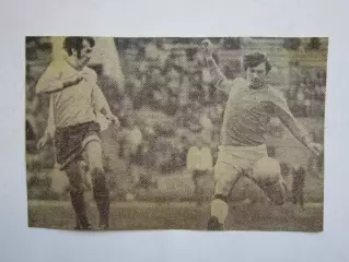 Вырезка. Футбол. Фото 196.