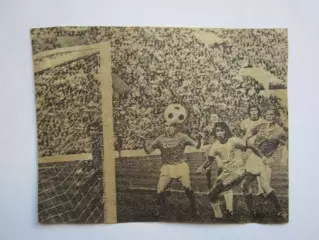 Вырезка. Футбол. Фото 200.