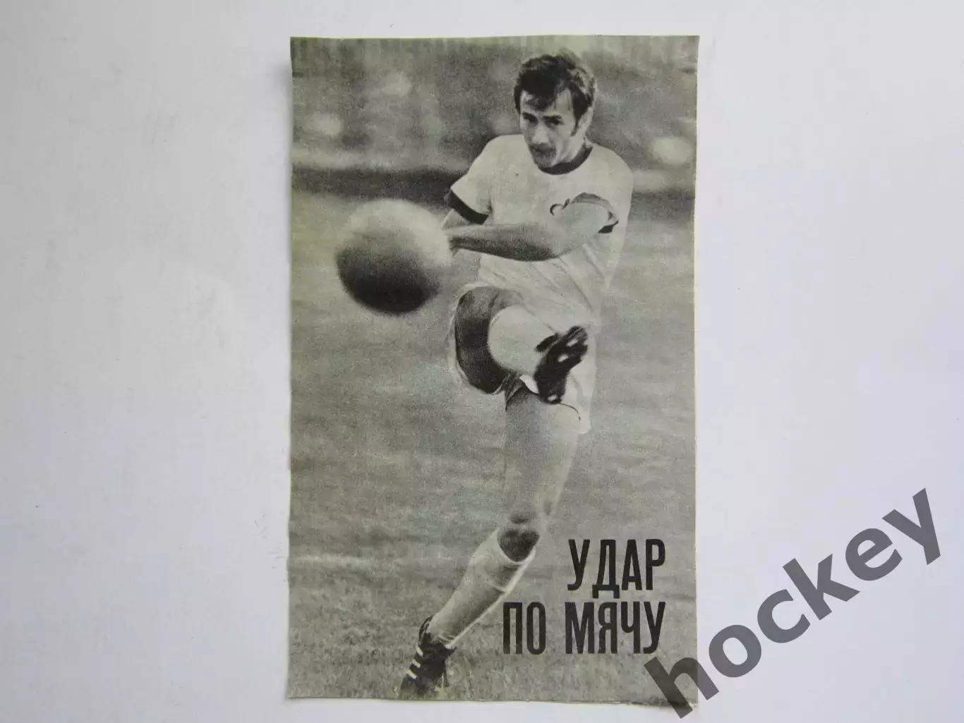 Вырезка. Футбол. Фото 202.