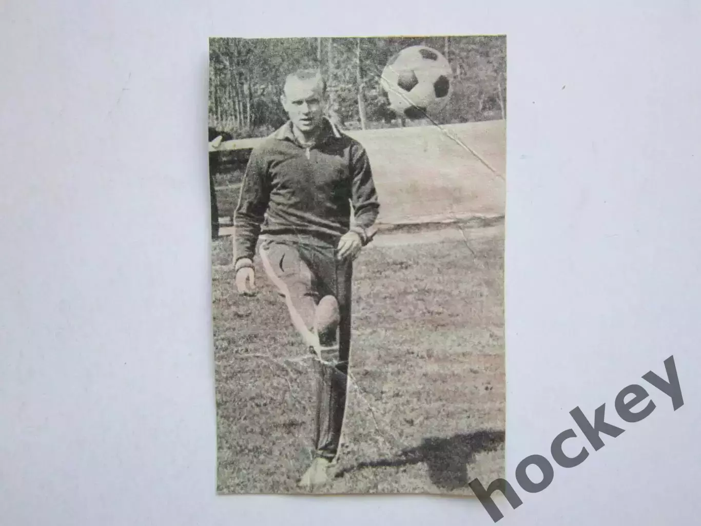 Вырезка. Футбол. Фото 203.