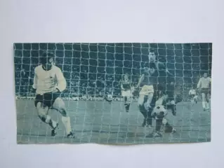 Вырезка. Футбол. Фото 204.