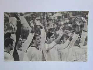 Вырезка. Футбол. Фото 211.