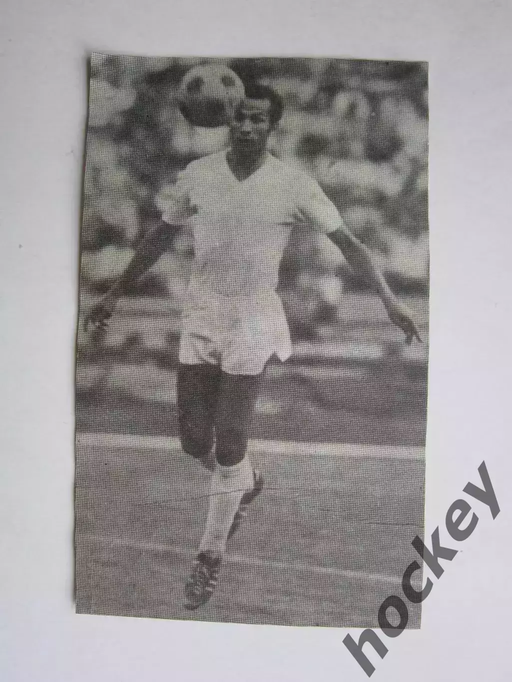 Вырезка. Футбол. Фото 217.