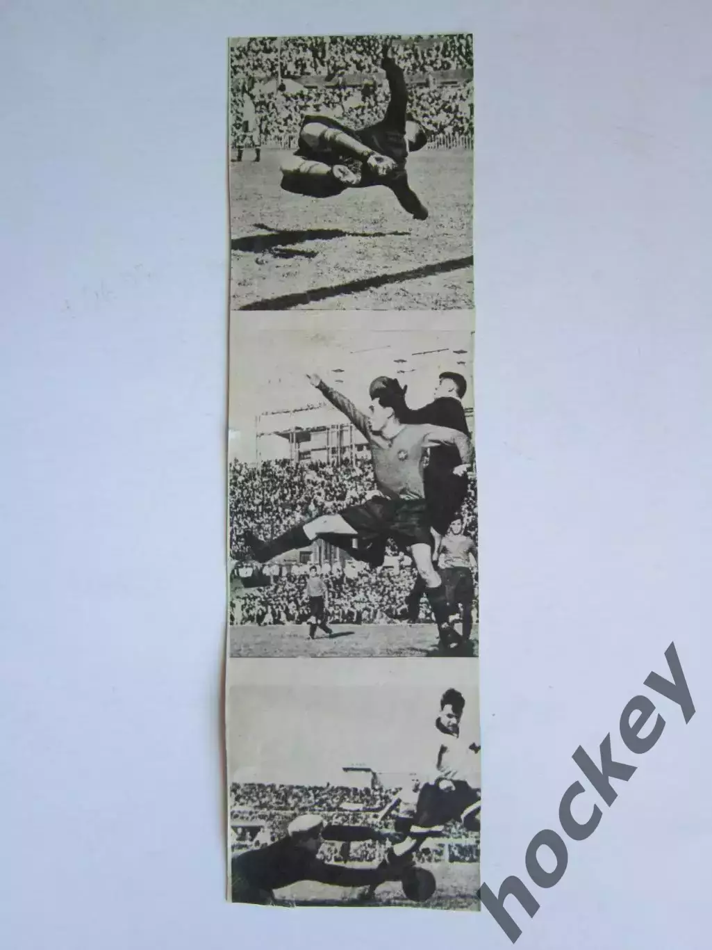 Вырезка. Футбол. Фото 233.