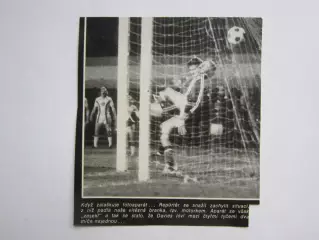 Вырезка. Футбол. Фото 235.