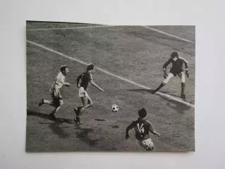 Вырезка. Футбол. Фото 236.