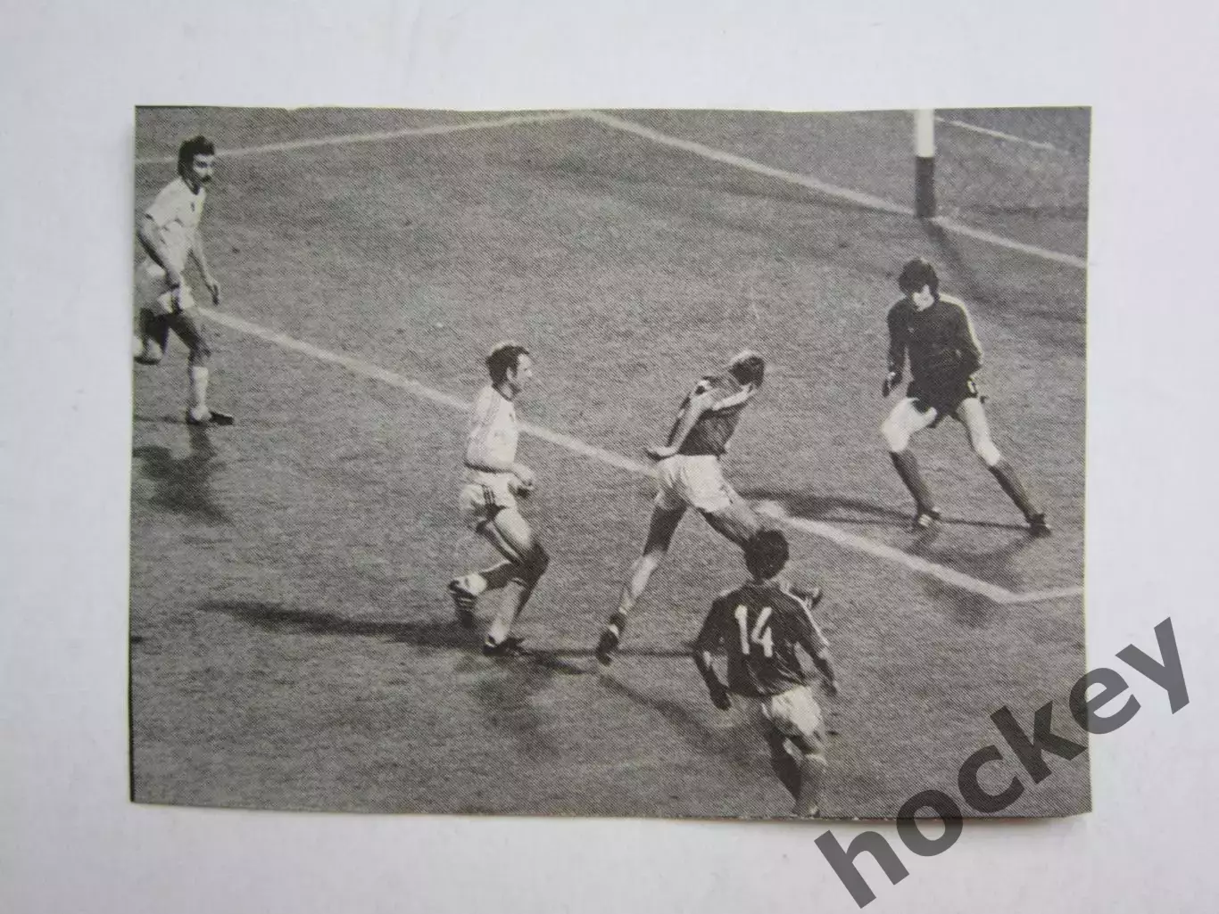 Вырезка. Футбол. Фото 237.