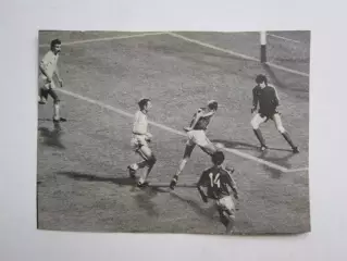 Вырезка. Футбол. Фото 237.