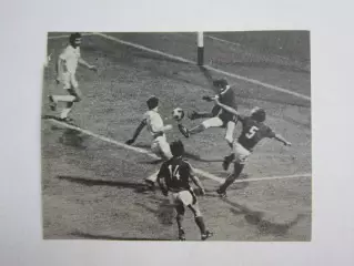 Вырезка. Футбол. Фото 238.