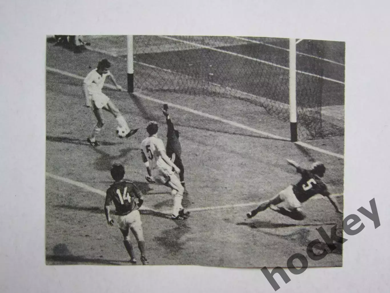 Вырезка. Футбол. Фото 239.