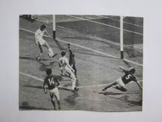 Вырезка. Футбол. Фото 239.