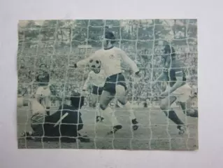 Вырезка. Футбол. Фото 244.