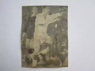 Вырезка. Футбол. Фото 246.