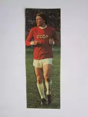 Вырезка. Футбол. Фото 251.