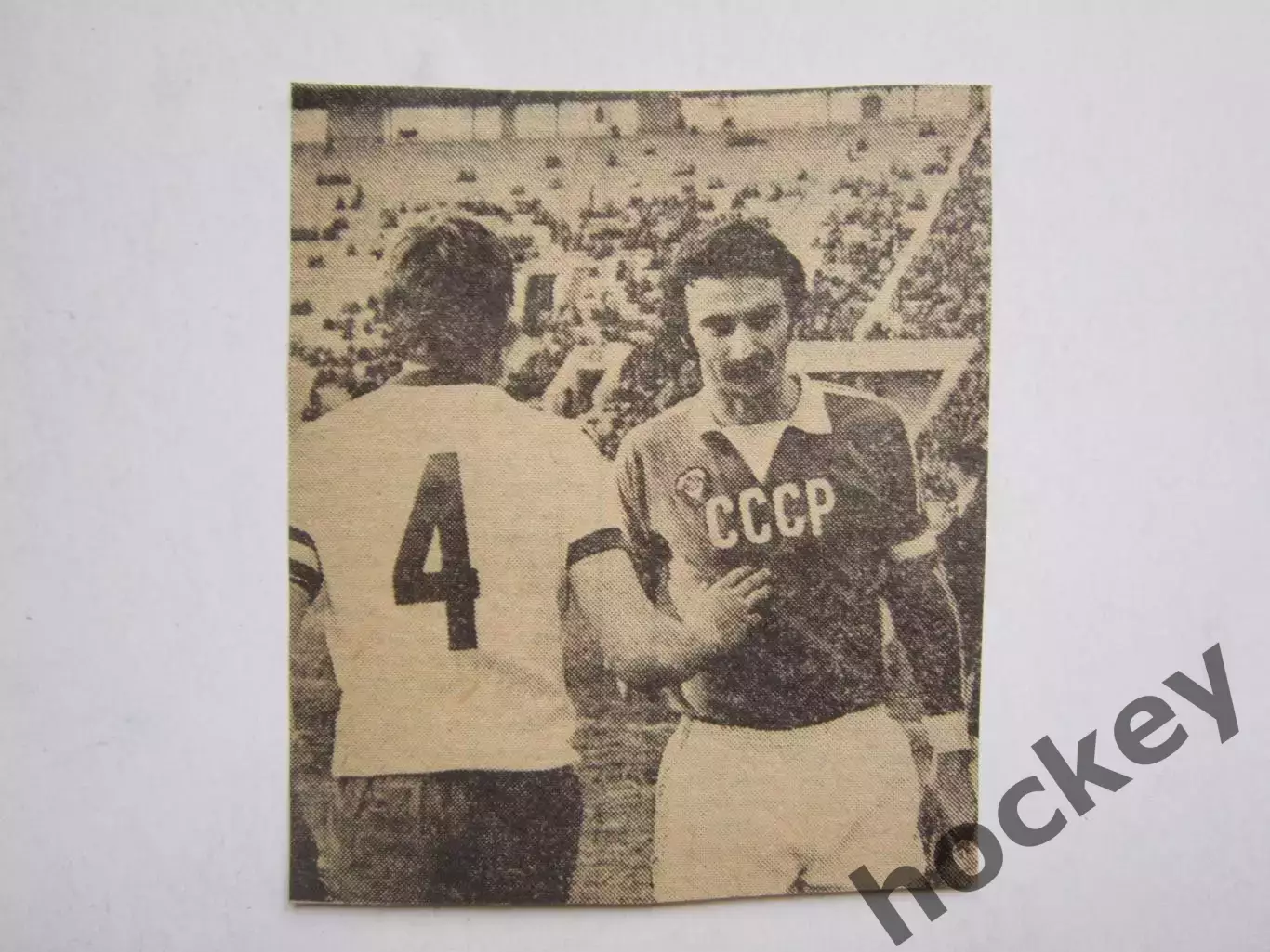 Вырезка. Футбол. Фото 255.