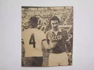 Вырезка. Футбол. Фото 255.