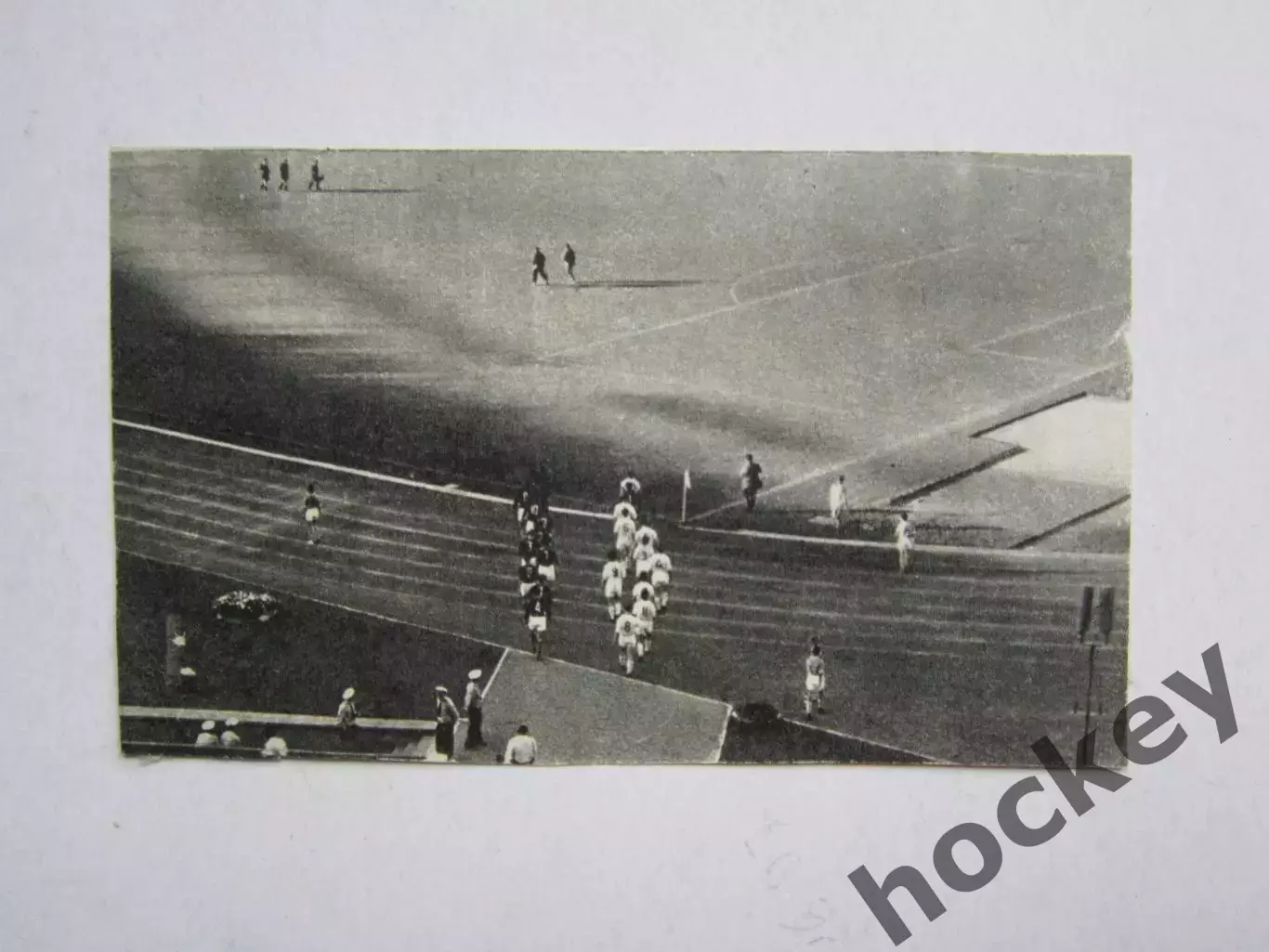 Вырезка. Футбол. Фото 257.