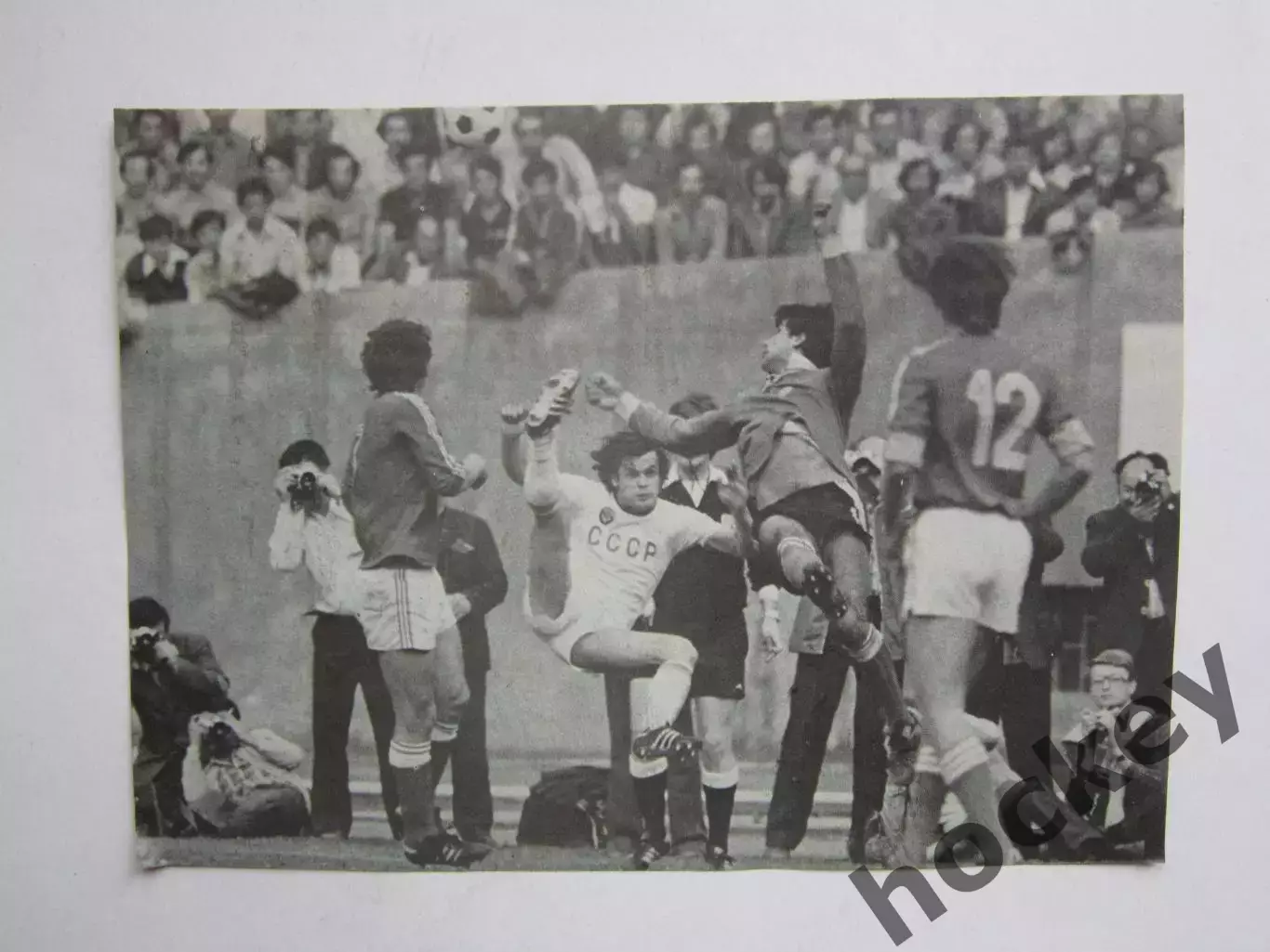 Вырезка. Футбол. Фото 259.