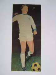 Вырезка. Футбол. Фото 261.