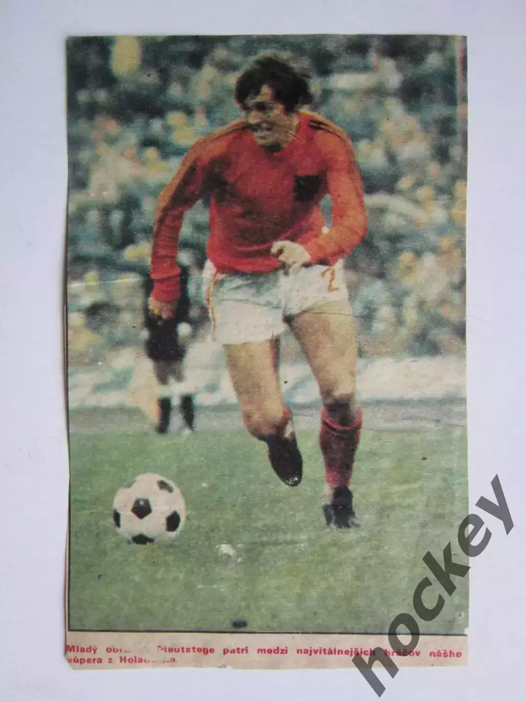 Вырезка. Футбол. Фото 264.