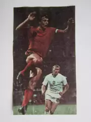 Вырезка. Футбол. Фото 280