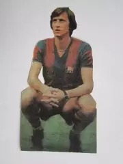 Вырезка. Футбол. Фото 281.