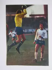 Вырезка. Футбол. Фото 289.