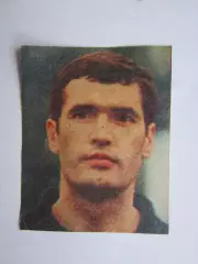 Вырезка. Футбол. Фото 290.