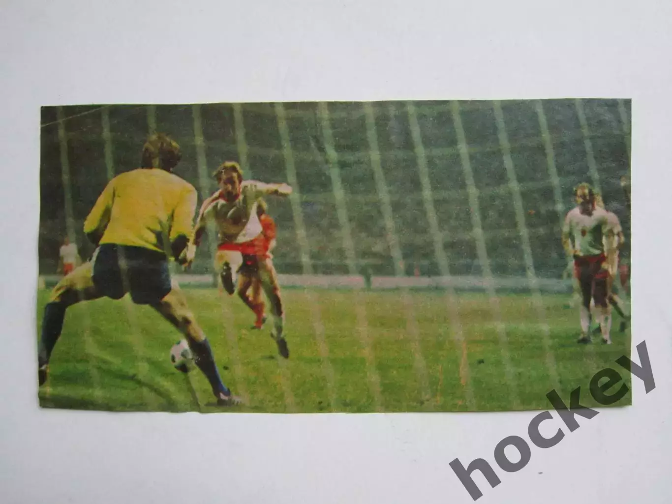 Вырезка. Футбол. Фото 294.