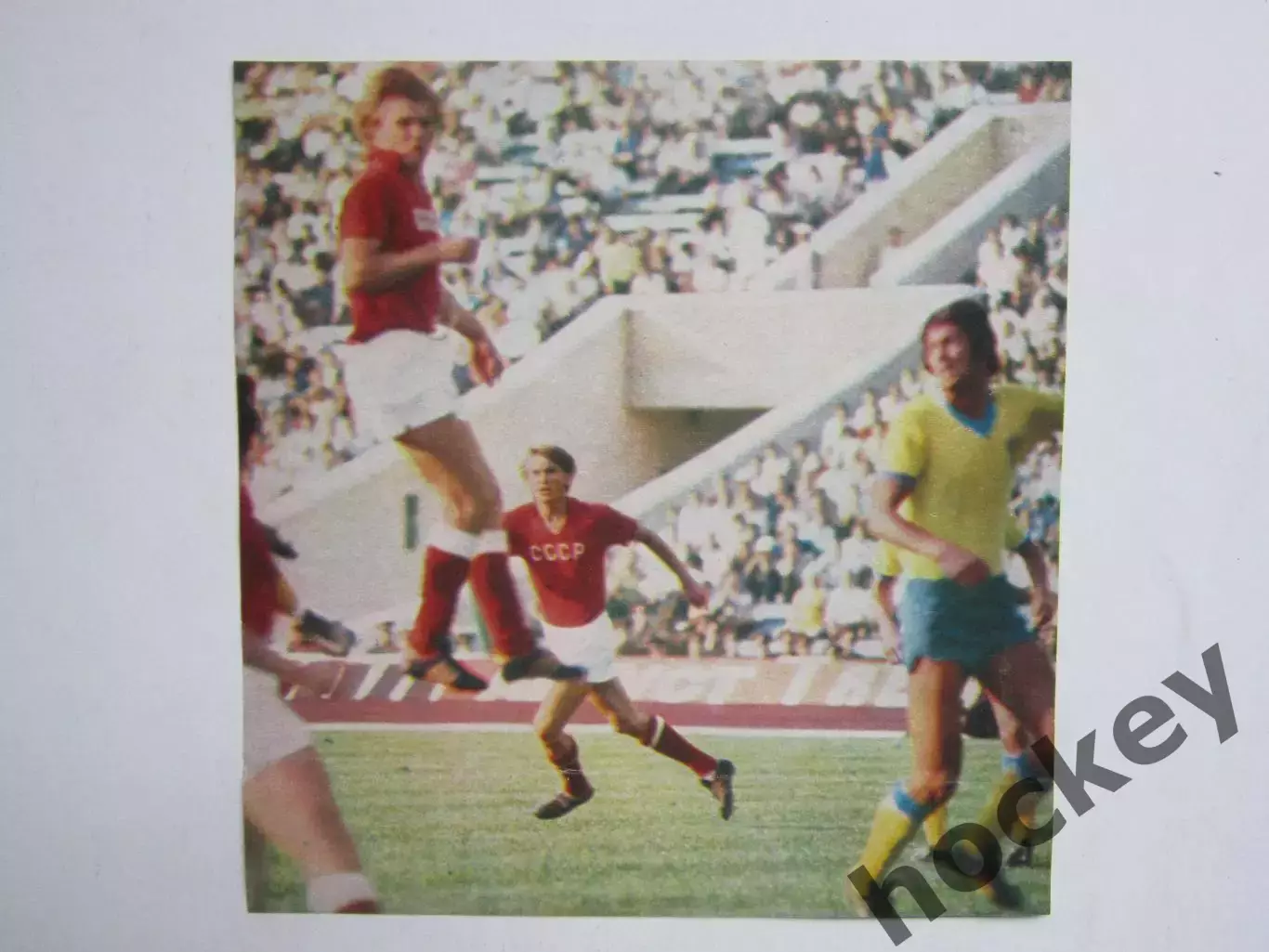 Вырезка. Футбол. Фото 299.