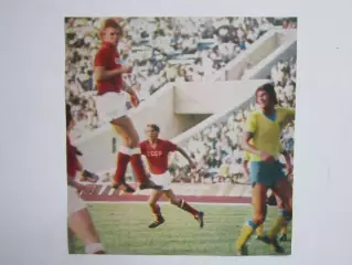 Вырезка. Футбол. Фото 299.