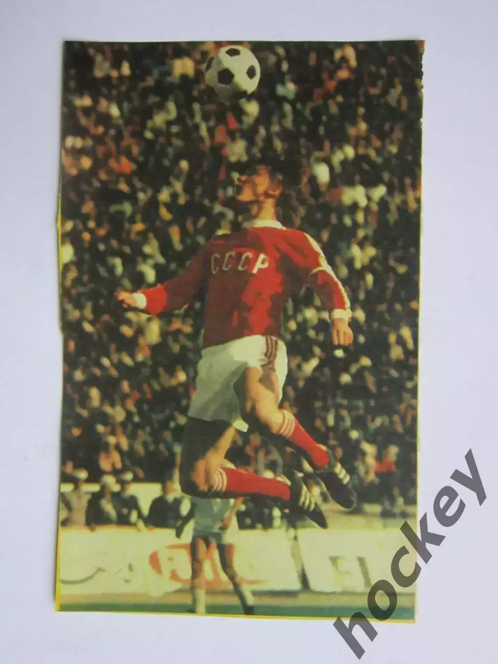 Вырезка. Футбол. Фото 302.