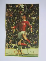 Вырезка. Футбол. Фото 302.