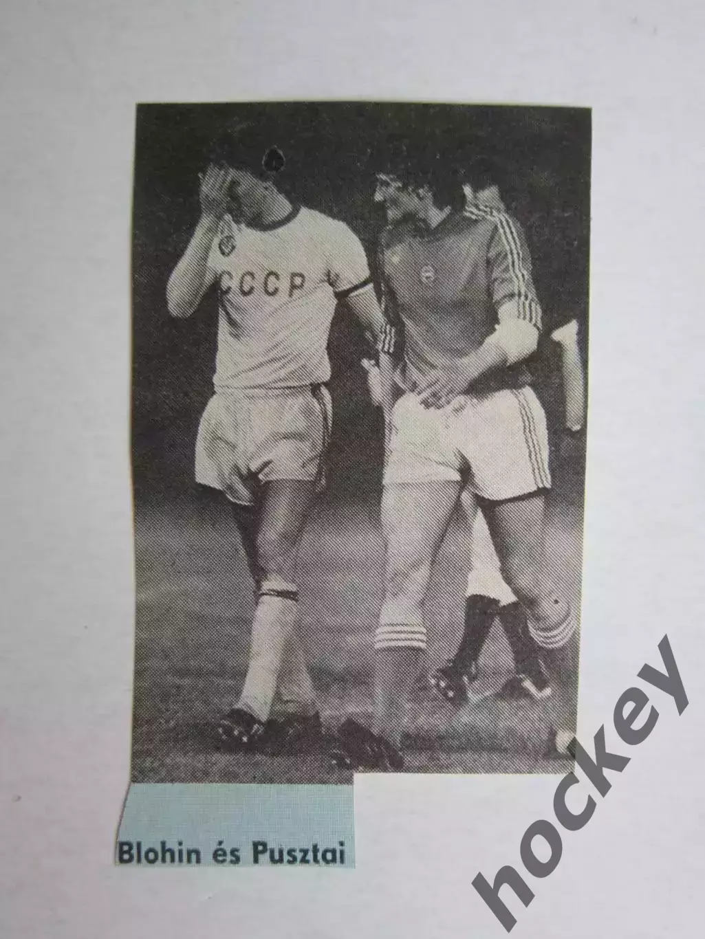 Вырезка. Футбол. Фото 304.