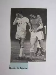 Вырезка. Футбол. Фото 304.