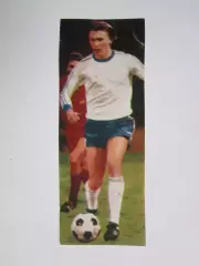 Вырезка. Футбол. Фото 305.