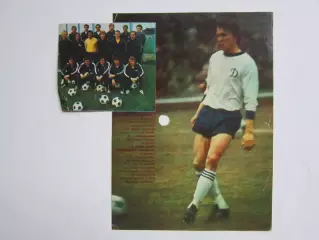 Вырезка. Футбол. Фото 306.