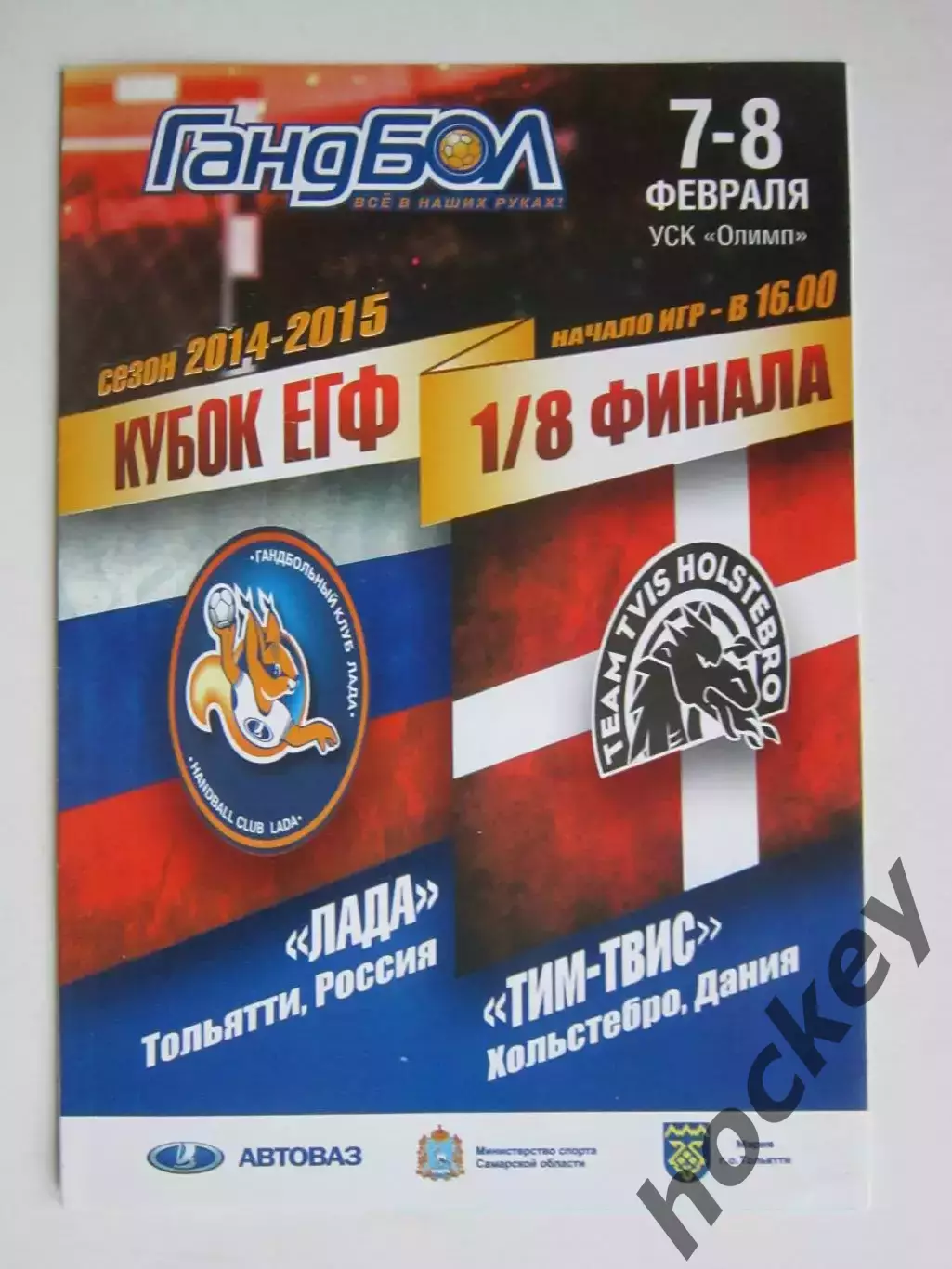 Лада Тольятти Россия - Тим-Твис Дания 7-8.02.2015. Кубок ЕГФ. 1/8 финала.