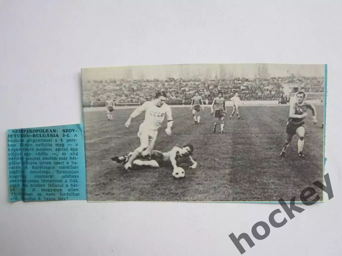 Вырезка. Футбол. Фото 310.